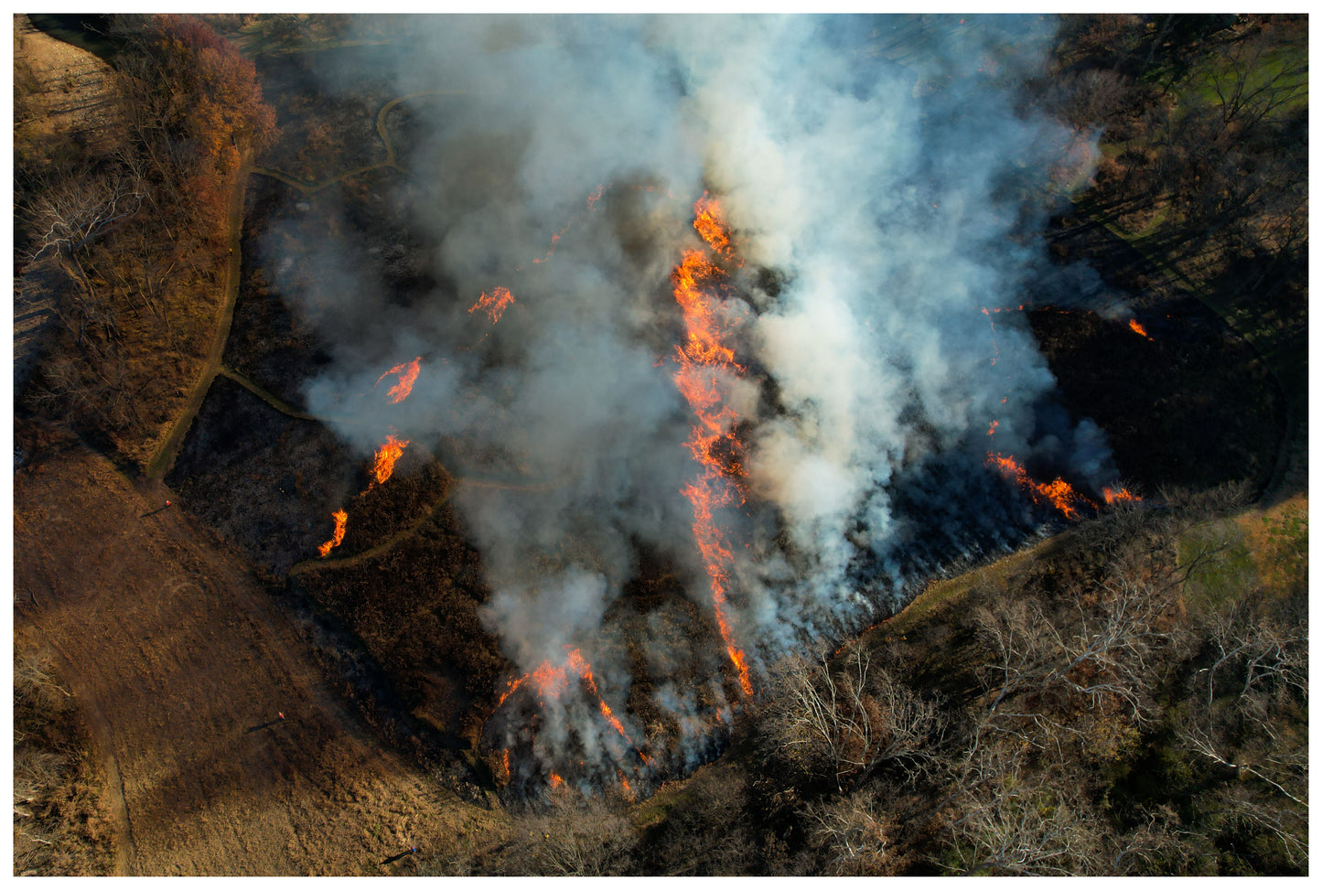 Spark of Encouragement