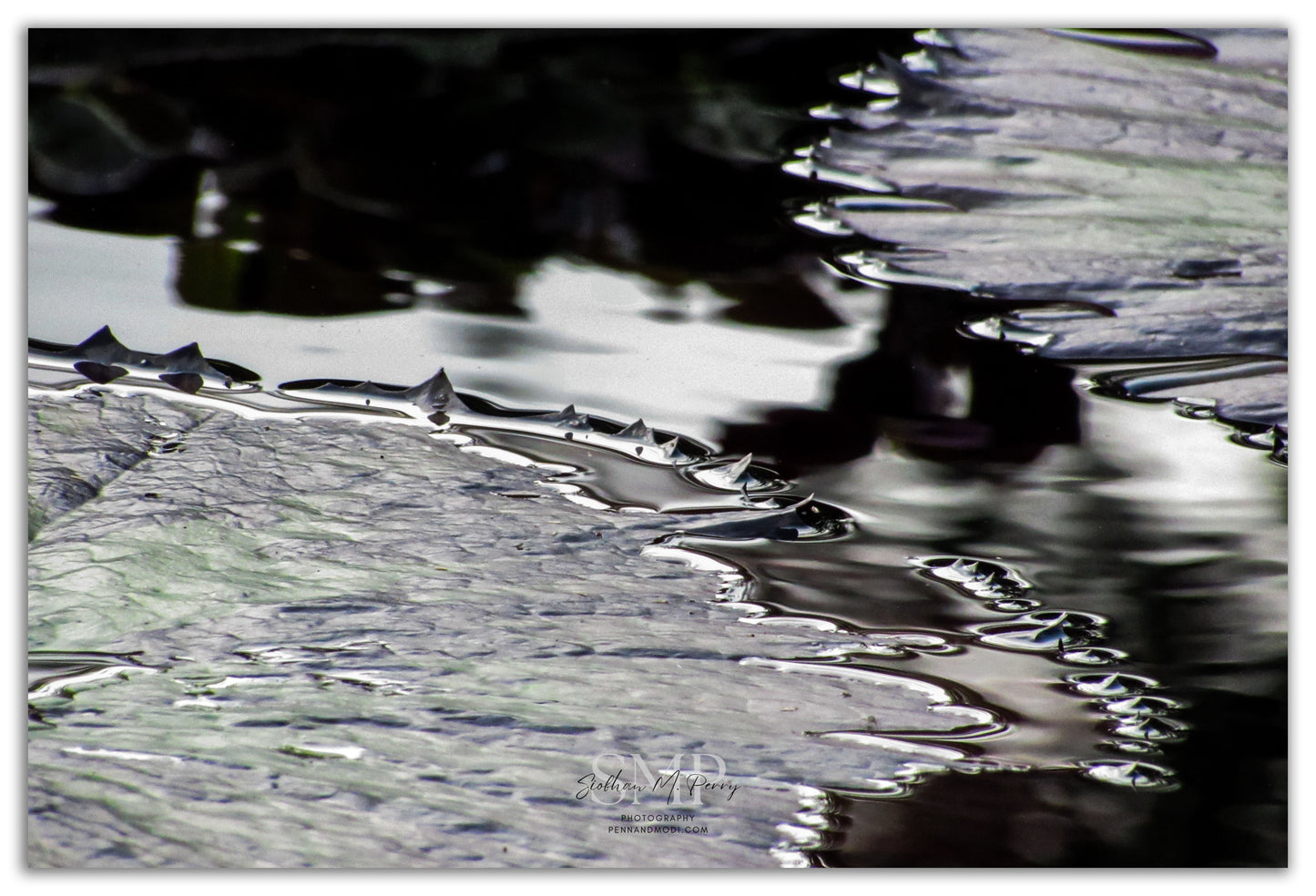 Just Float