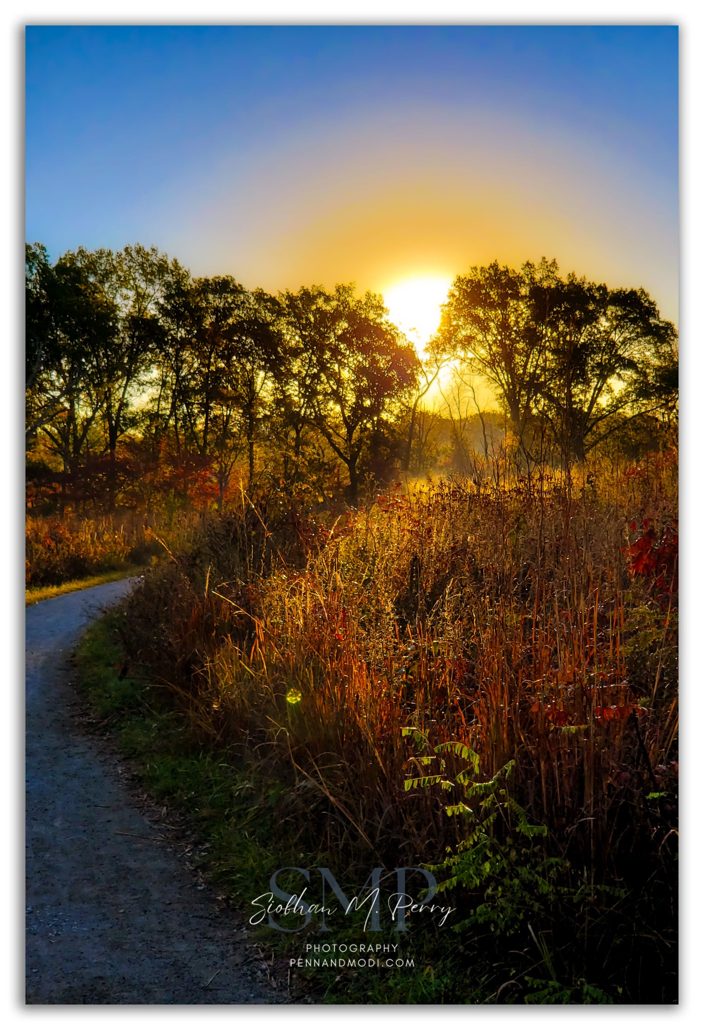 Shaw Sunrise