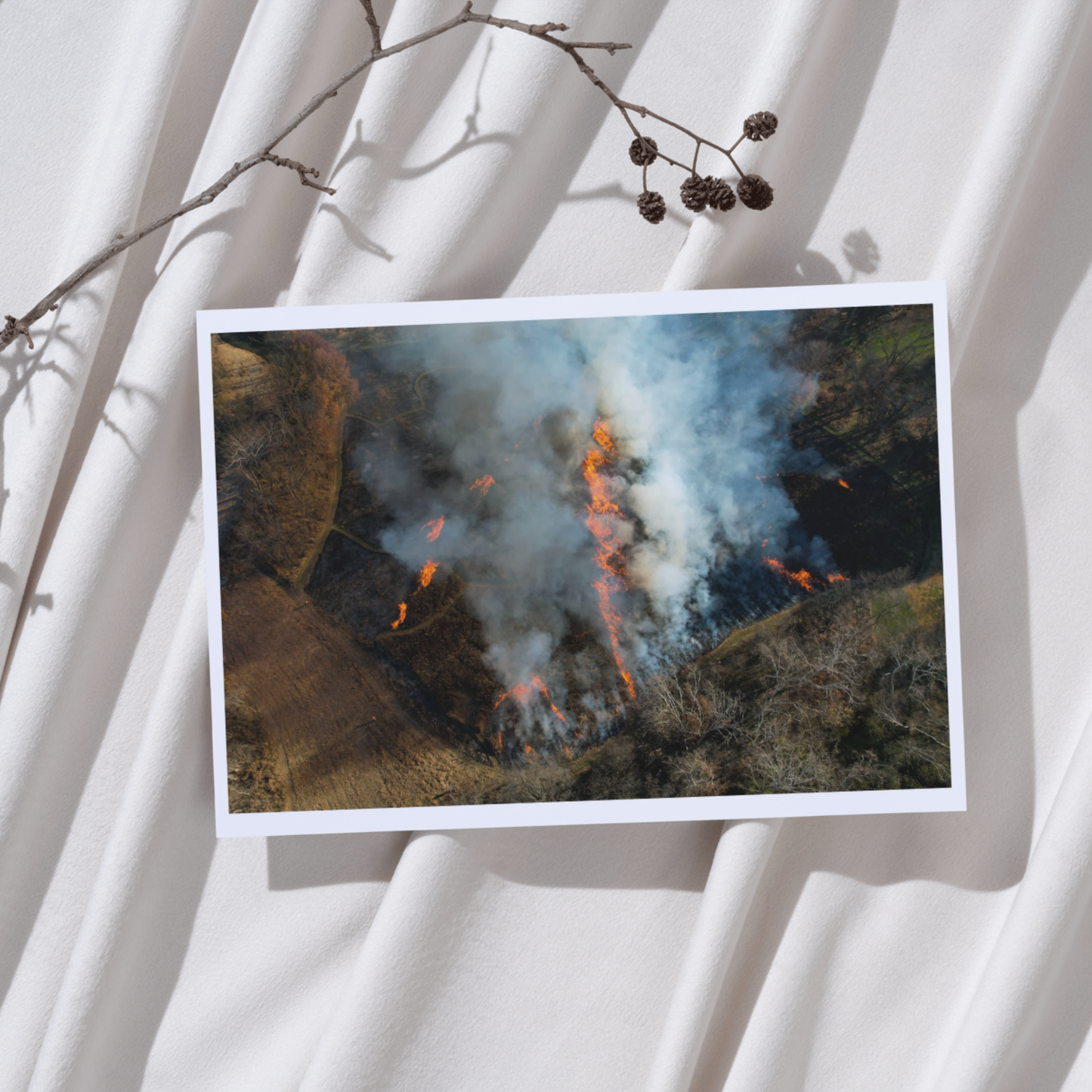 Spark of Encouragement