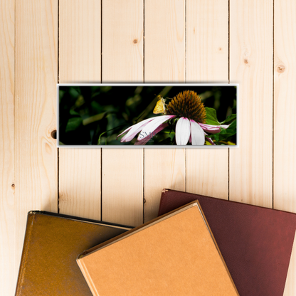 Coneflower Snack