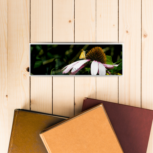 Coneflower Snack