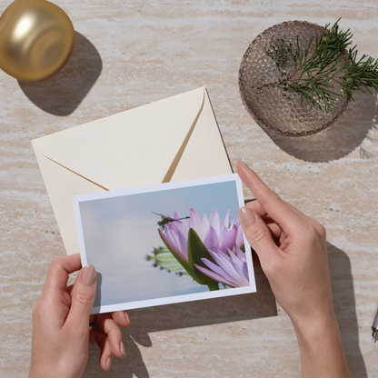 Cotton Candy Dragonfly