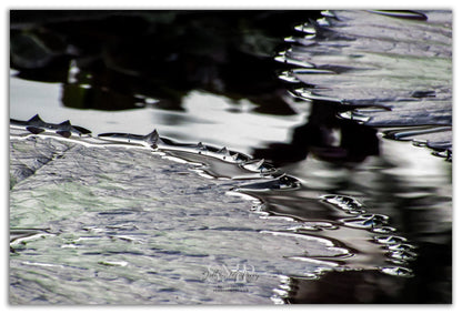 Just Float