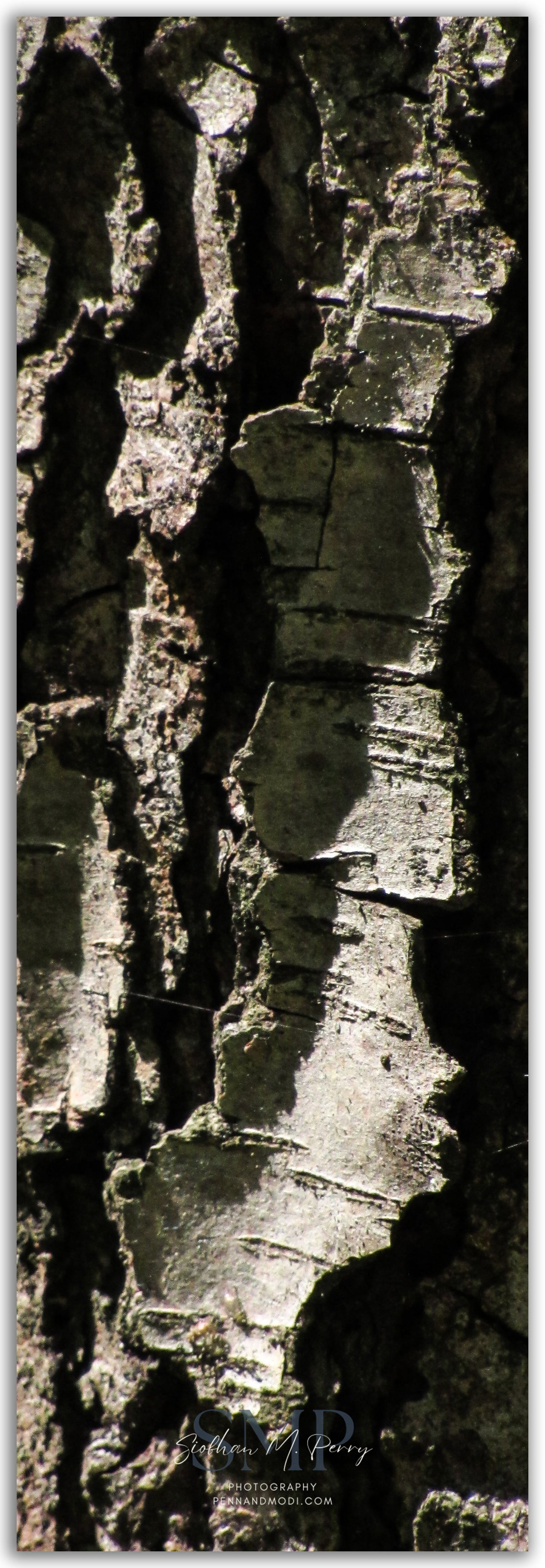 Sloughed Ridges