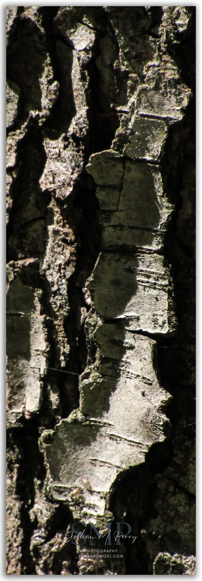 Sloughed Ridges
