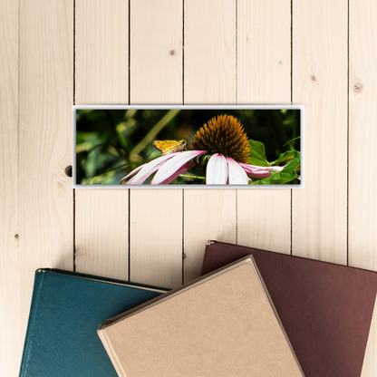 Woollybear Picnic